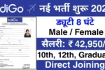 Indigo Airlines Bharti 2025